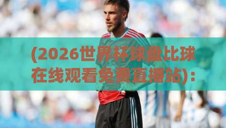 (2026世界杯球盘比球在线观看免费直播站)：球迷必看的观赛新姿势，你真的会找吗？