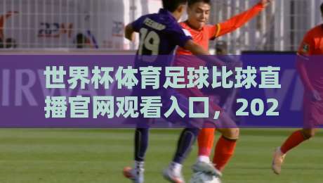 世界杯体育足球比球直播官网观看入口，2026年球迷必备指南