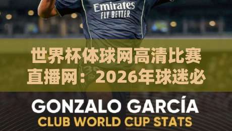 世界杯体球网高清比赛直播网：2026年球迷必备的观赛新体验