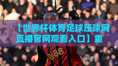 【世界杯体育足球压球网直播官网观看入口】重磅回归：2026年全球球迷的观赛新体验