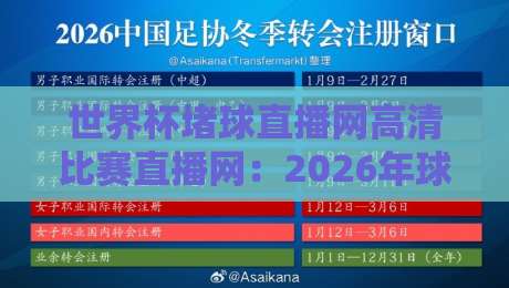 世界杯堵球直播网高清比赛直播网：2026年球迷必备的四大观赛利器