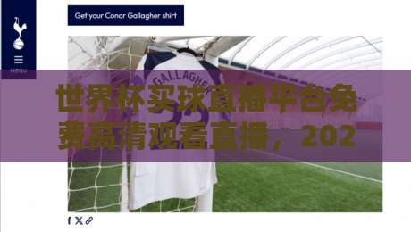 世界杯买球直播平台免费高清观看直播，2026年球迷必看指南