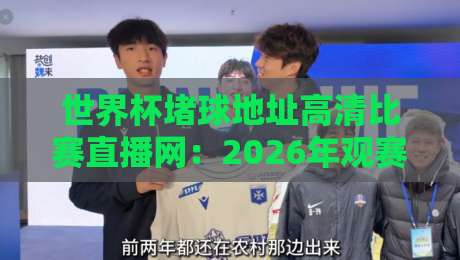 世界杯堵球地址高清比赛直播网：2026年观赛指南与避坑建议