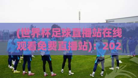 (世界杯足球直播站在线观看免费直播站)：2026年观赛新姿势，老球迷连夜收藏