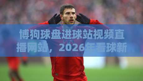 博狗球盘进球站视频直播网站，2026年看球新选择？