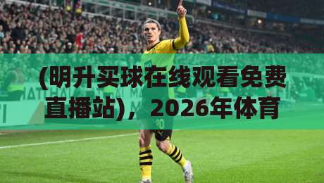 (明升买球在线观看免费直播站)，2026年体育迷必看的免费直播攻略