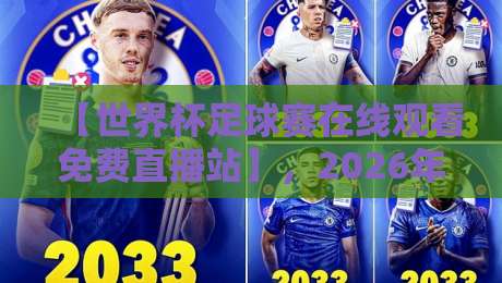 【世界杯足球赛在线观看免费直播站】，2026年观赛全攻略！