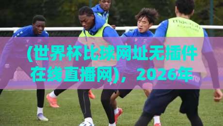 (世界杯比球网址无插件在线直播网)，2026年这样看球才过瘾！