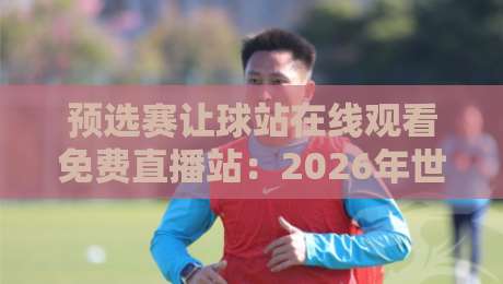 预选赛让球站在线观看免费直播站：2026年世界杯预选赛观赛指南与避坑手册