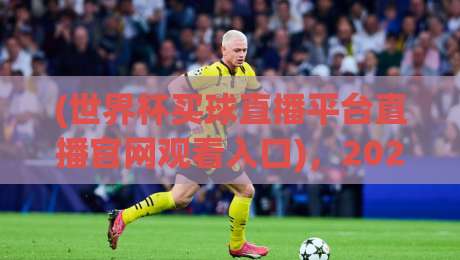 (世界杯买球直播平台直播官网观看入口),2026年球迷必收的3个避坑指南! (世界杯买球直播平台直播官网观看入口),2026年球迷必收的3个避坑指南!