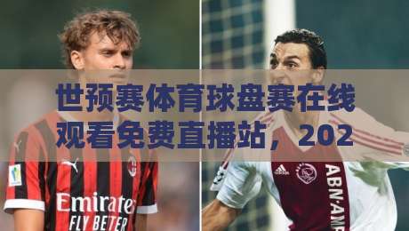 世预赛体育球盘赛在线观看免费直播站，2026年球迷必备观赛指南！