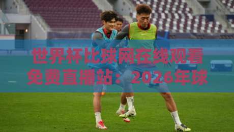 世界杯比球网在线观看免费直播站：2026年球迷的观赛新选择！