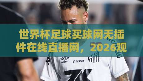 世界杯足球买球网无插件在线直播网，2026观赛首选平台【世界杯足球买球网无插件在线直播网】