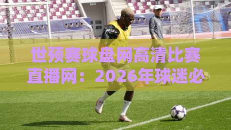 世预赛球盘网高清比赛直播网：2026年球迷必备的观赛神器
