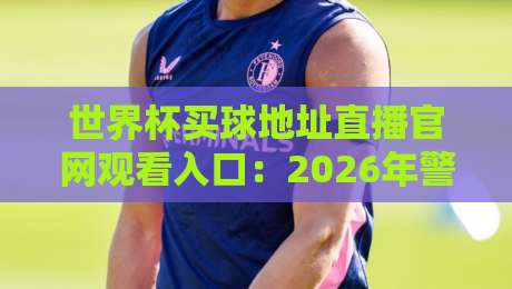 世界杯买球地址直播官网观看入口：2026年警惕陷阱，认准这些正规渠道