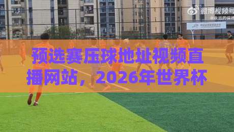 预选赛压球地址视频直播网站，2026年世界杯预选赛观赛全攻略