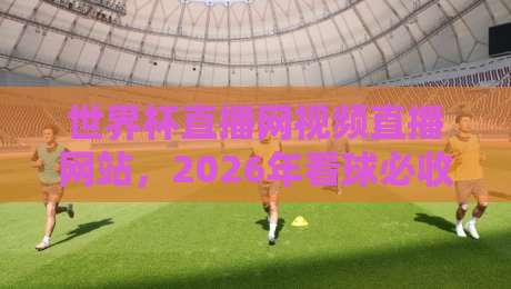 世界杯直播网视频直播网站，2026年看球必收藏的5个观赛渠道！