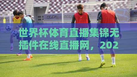 世界杯体育直播集锦无插件在线直播网，2026年球迷必备观赛指南