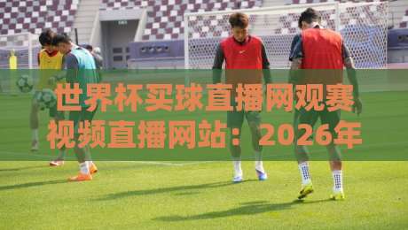 世界杯买球直播网观赛视频直播网站：2026年球迷必备的高清观赛指南