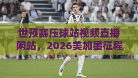 世预赛压球站视频直播网站，2026美加墨征程你该盯紧这几个平台