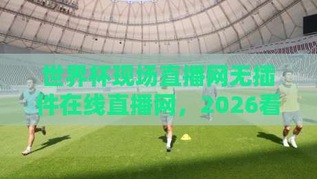 世界杯现场直播网无插件在线直播网,2026看球到底该怎么选? 世界杯现场直播网无插件在线直播网,2026看球到底该怎么选?