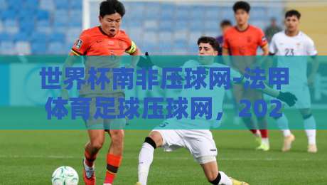 世界杯南非压球网-法甲体育足球压球网,2026年球迷必知的三个趋势