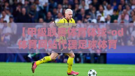 【甲级联赛体育体球-od体育网站代理足球体育】:2026赛季实战指南与代理价值解析