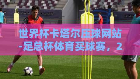 世界杯卡塔尔压球网站-足总杯体育买球赛,2026年玩转赛事的正确姿势
