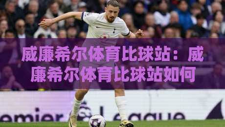 威廉希尔体育比球站：威廉希尔体育比球站如何重塑2026观赛体验？【威廉希尔体育比球站】数据流与社区感双线进化-线上十大最稳比球站新用户免费无延迟4K俱乐部中水