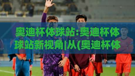 奥迪杯体球站:奥迪杯体球站新视角|从(奥迪杯体球站)看体育数据交互的演进脉络-线上十大最稳下球站积分榜超清网站新用户免费无延迟