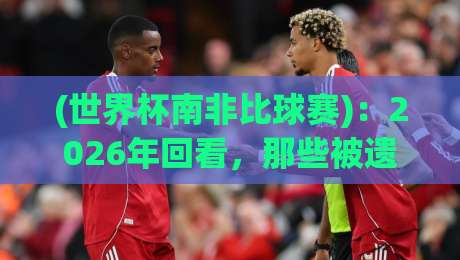 (世界杯南非比球赛):2026年回看,那些被遗忘的细节与新视角