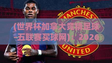 (世界杯加拿大竞猜足球-五联赛买球网):2026年玩转跨平台投注,这些干货你得知道