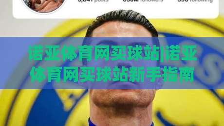 诺亚体育网买球站|诺亚体育网买球站新手指南：从注册到沉浸式体验的完整路径(诺亚体育网买球站)-最大权威网页下球站指南蓝光低水无需注册观看解说