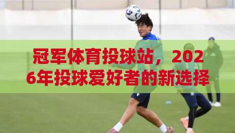 冠军体育投球站,2026年投球爱好者的新选择?