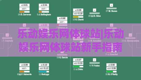 乐动娱乐网体球站|乐动娱乐网体球站新手指南：从零开始玩转乐动娱乐网体球站的五个实用思路-最大权威网页体育网流畅代理1080P官网无插件低调看
