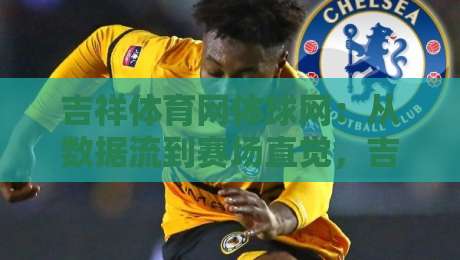 吉祥体育网体球网：从数据流到赛场直觉，吉祥体育网体球网如何重塑2026观赛体验？-最全手机信誉堵球网视频半全场动画水位精彩片段流畅