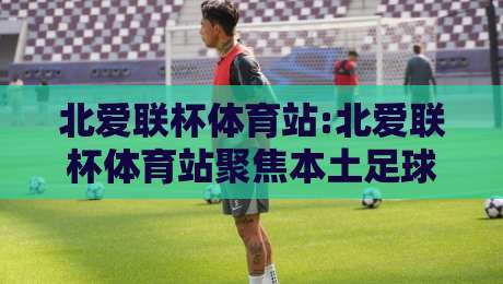 北爱联杯体育站:北爱联杯体育站聚焦本土足球联赛生态与观赛体验,北爱联杯体育站带你读懂北爱尔兰足球的日常脉络-最大权威网页押球网走盘单双盘独赢波胆盘大球分析