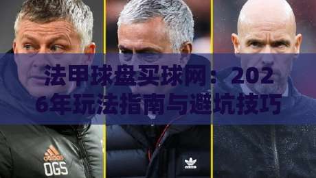 法甲球盘买球网:2026年玩法指南与避坑技巧(资深玩家的真实反馈)