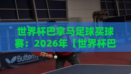 世界杯巴拿马足球买球赛:2026年【世界杯巴拿马足球买球赛】避坑实战指南
