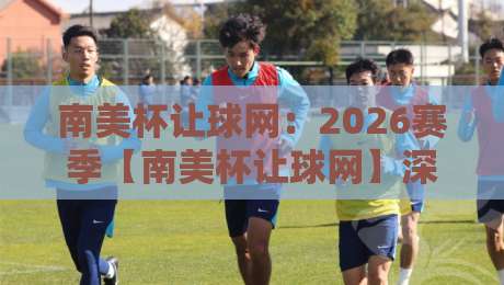 南美杯让球网：2026赛季【南美杯让球网】深度解析与实战策略