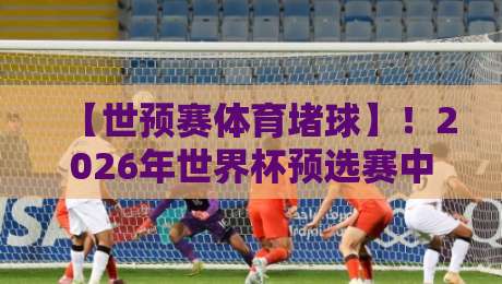 【世预赛体育堵球】！2026年世界杯预选赛中的“堵球”现象，你真的看懂了吗？