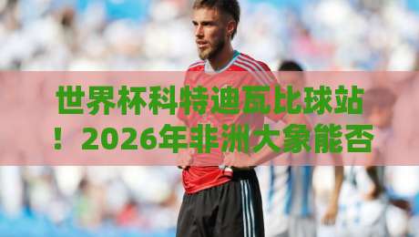 世界杯科特迪瓦比球站！2026年非洲大象能否再次震惊世界？