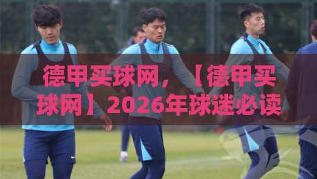 德甲买球网，【德甲买球网】2026年球迷必读的五大核心价值