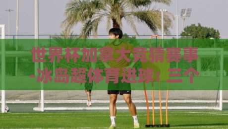 世界杯加拿大竞猜赛事-冰岛超体育进球: 三个冷门指标让你在2026年稳赢