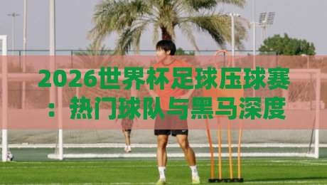 2026世界杯足球压球赛:热门球队与黑马深度解析!