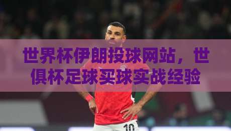 世界杯伊朗投球网站，世俱杯足球买球实战经验分享【世界杯伊朗投球网站】