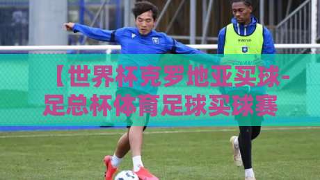 【世界杯克罗地亚买球-足总杯体育足球买球赛】: 2026年球迷必读的实战指南