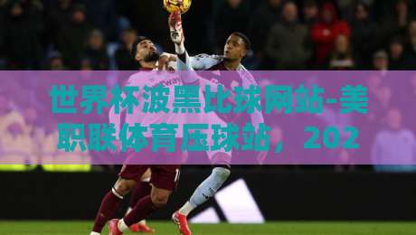 世界杯波黑比球网站-美职联体育压球站，2026年新手必看的三大选择标准