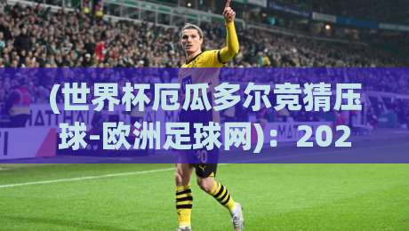 (世界杯厄瓜多尔竞猜压球-欧洲足球网):2026世界杯厄瓜多尔竞猜压球全攻略