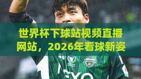 世界杯下球站视频直播网站,2026年看球新姿势?(深度评测)